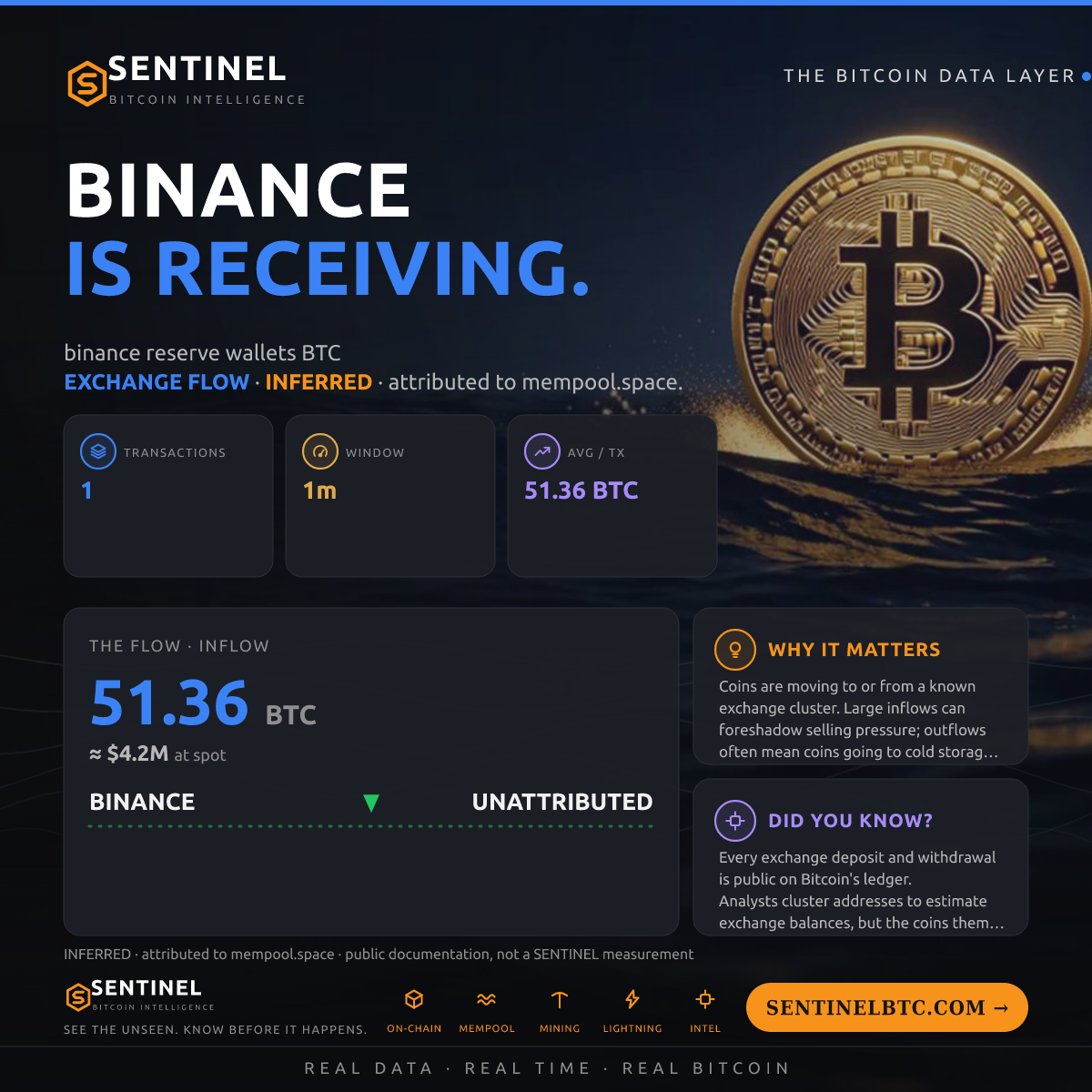 BINANCE: 51.36 BTC IN
