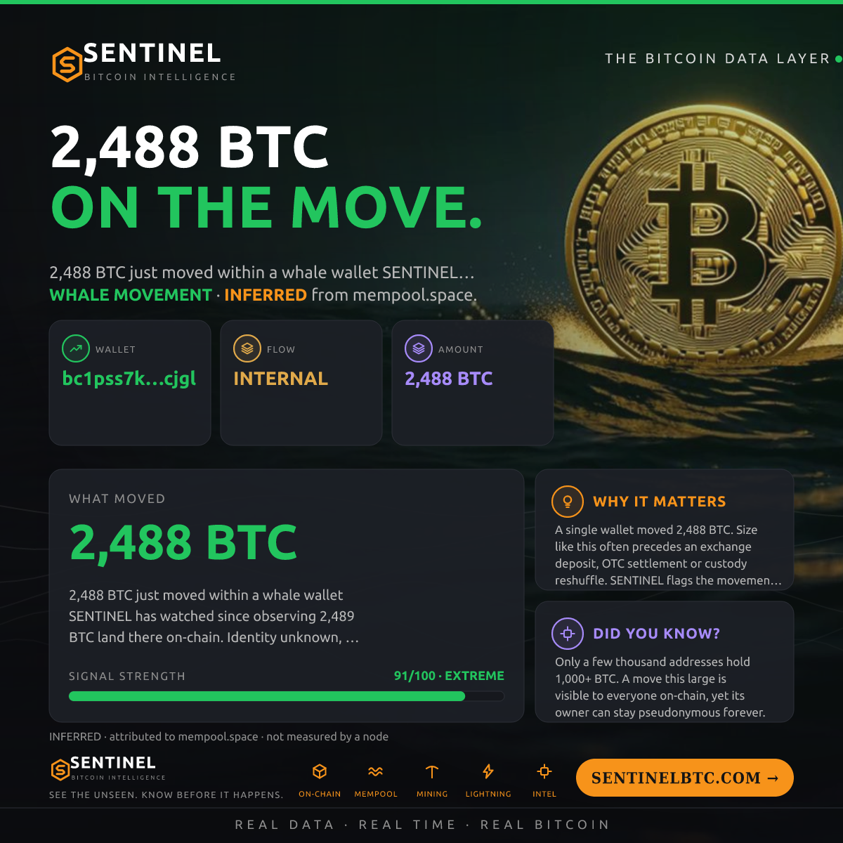 WHALE WALLET: 2,488 BTC SHUFFLED