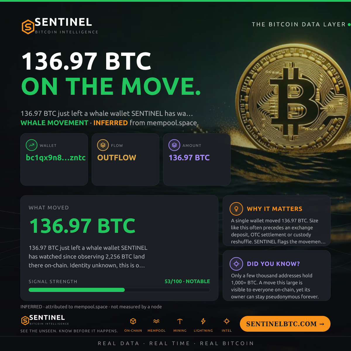 WHALE WALLET: 136.97 BTC OUT