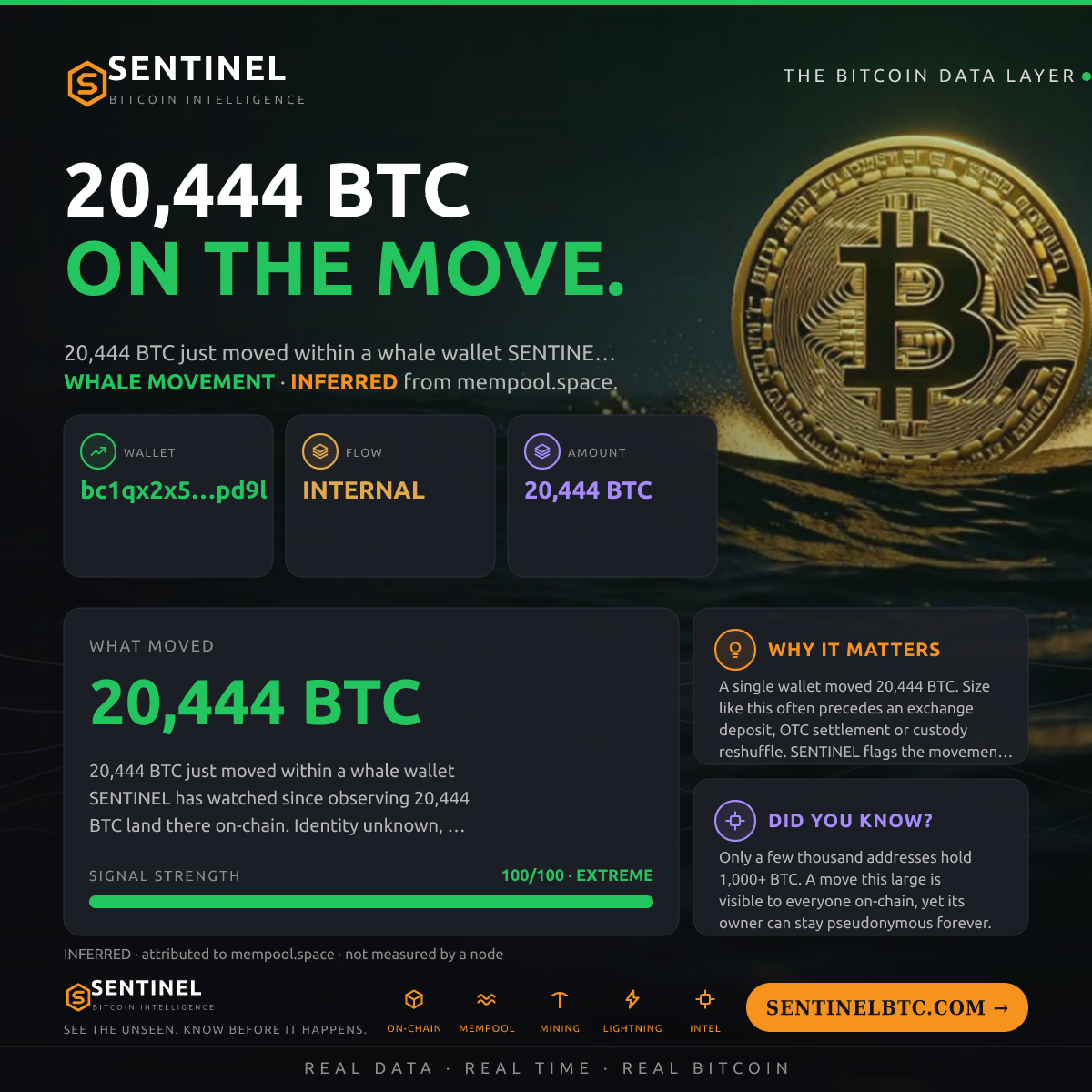 WHALE WALLET: 20,444 BTC SHUFFLED