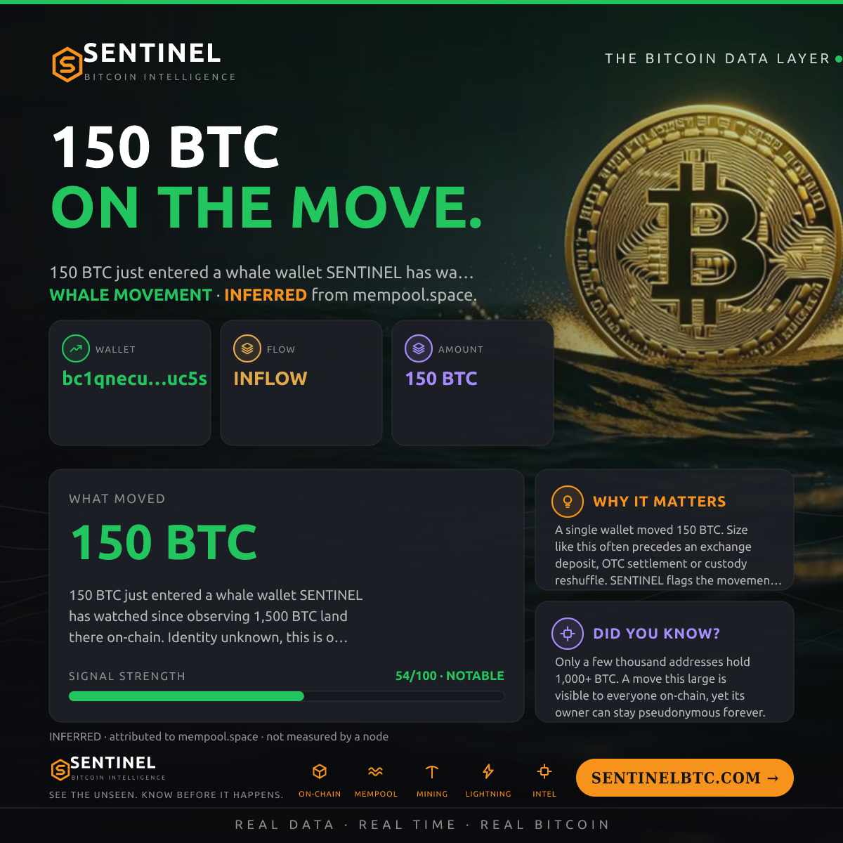 WHALE WALLET: 150 BTC IN
