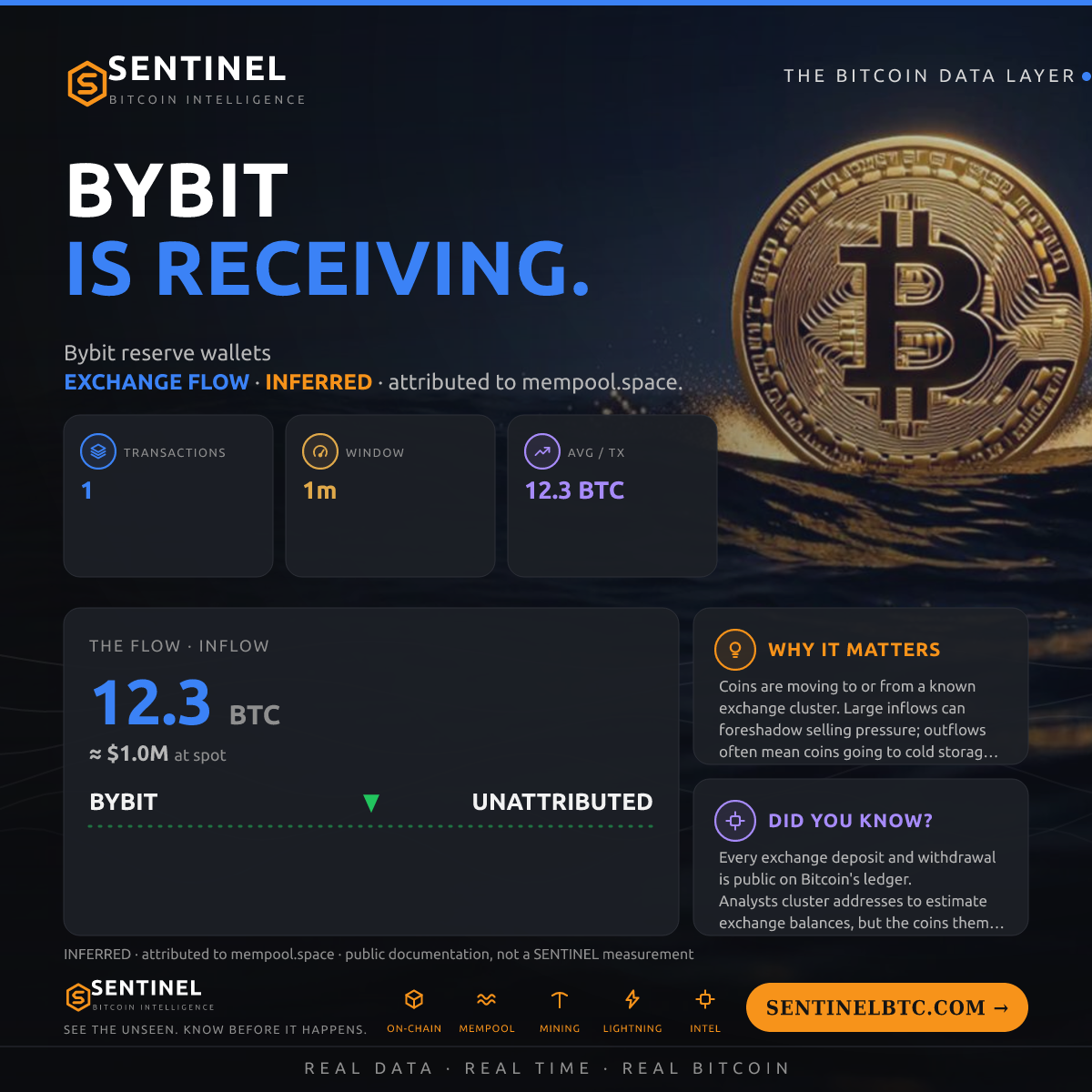 BYBIT: 12.3 BTC IN
