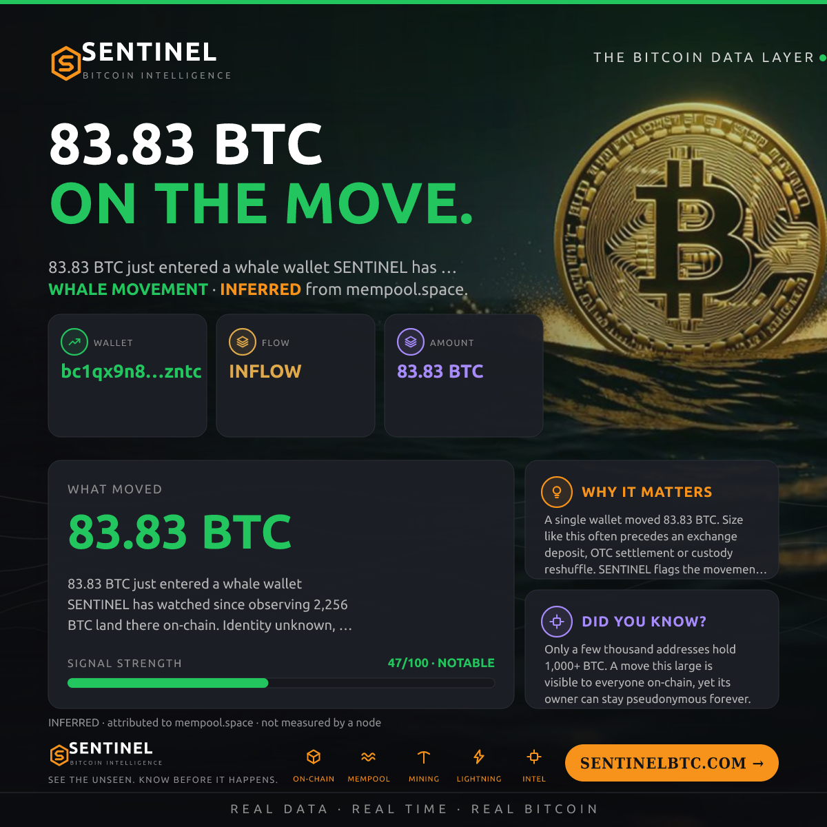 WHALE WALLET: 83.83 BTC IN