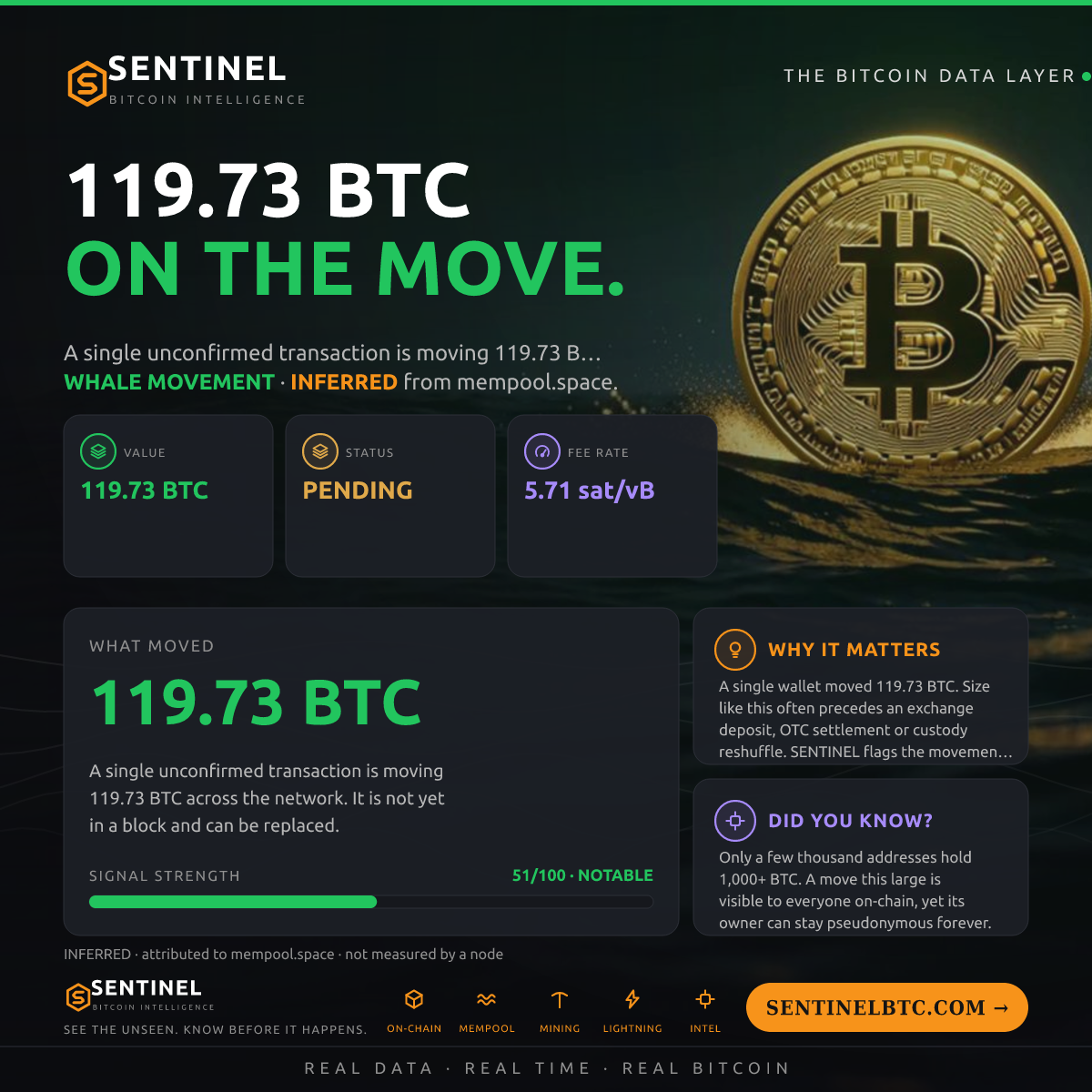 119.73 BTC ENTERED THE MEMPOOL