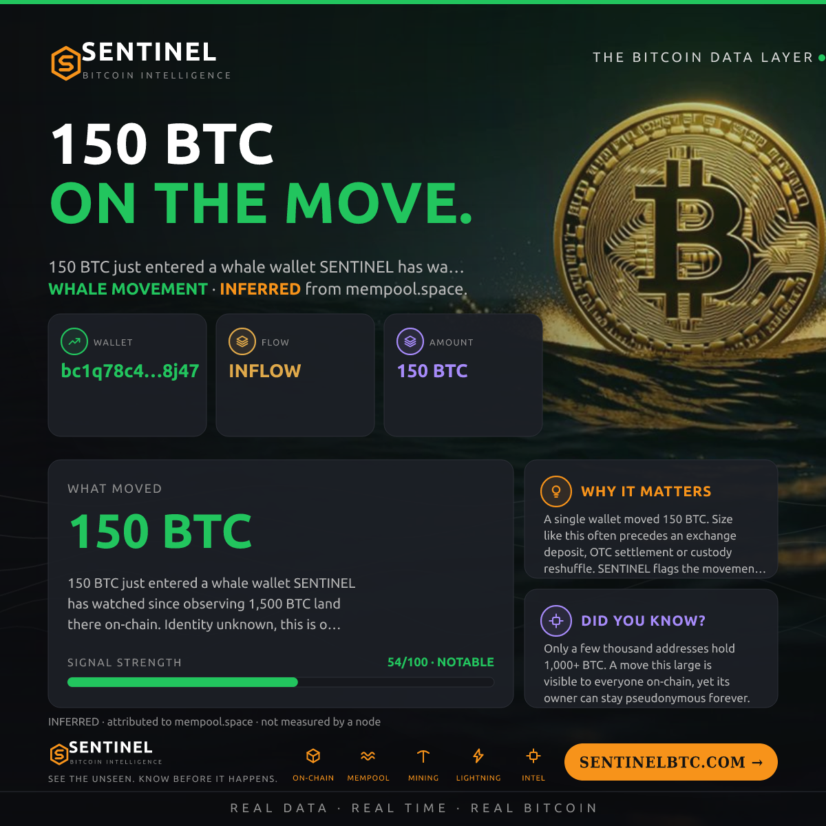 WHALE WALLET: 150 BTC IN