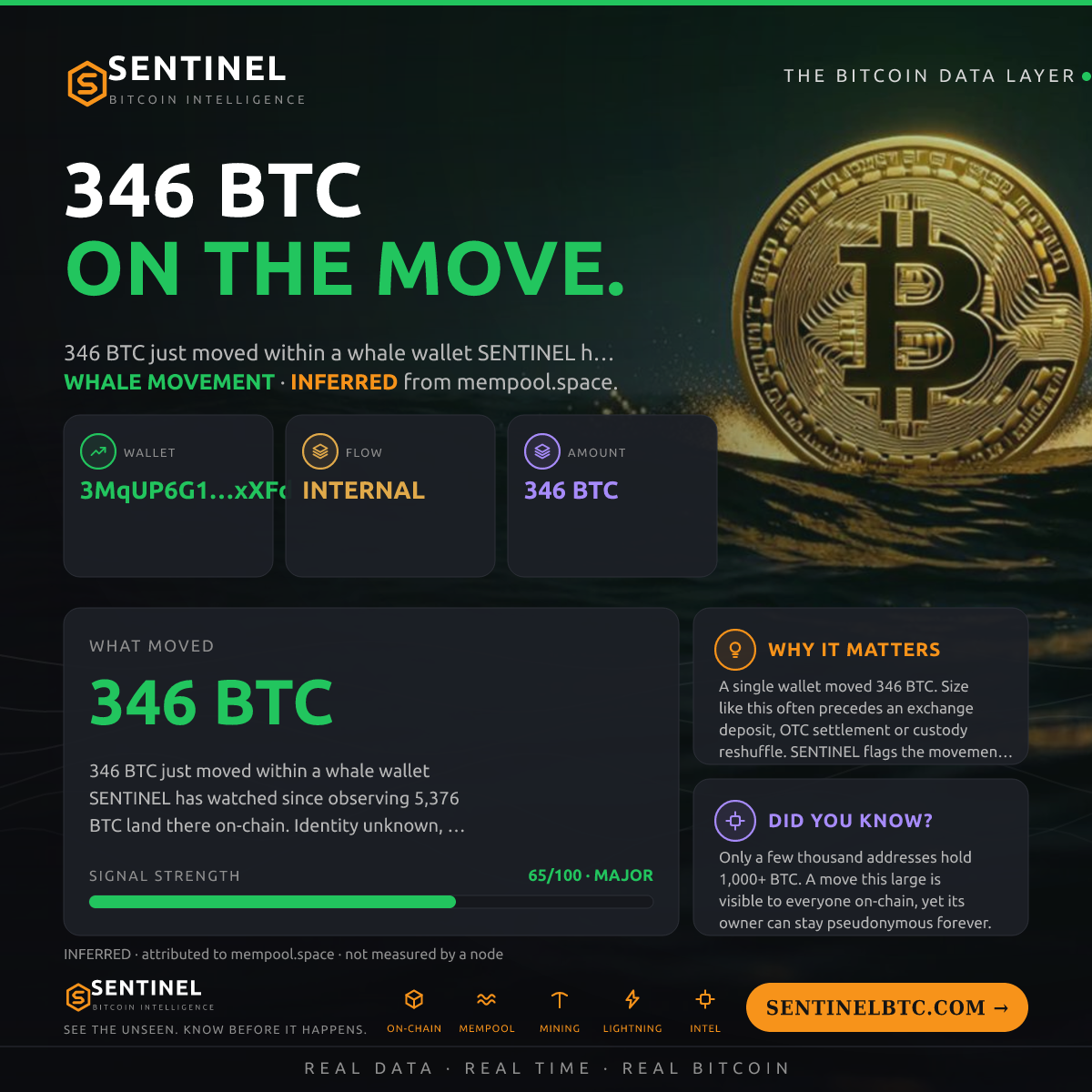 WHALE WALLET: 346 BTC SHUFFLED