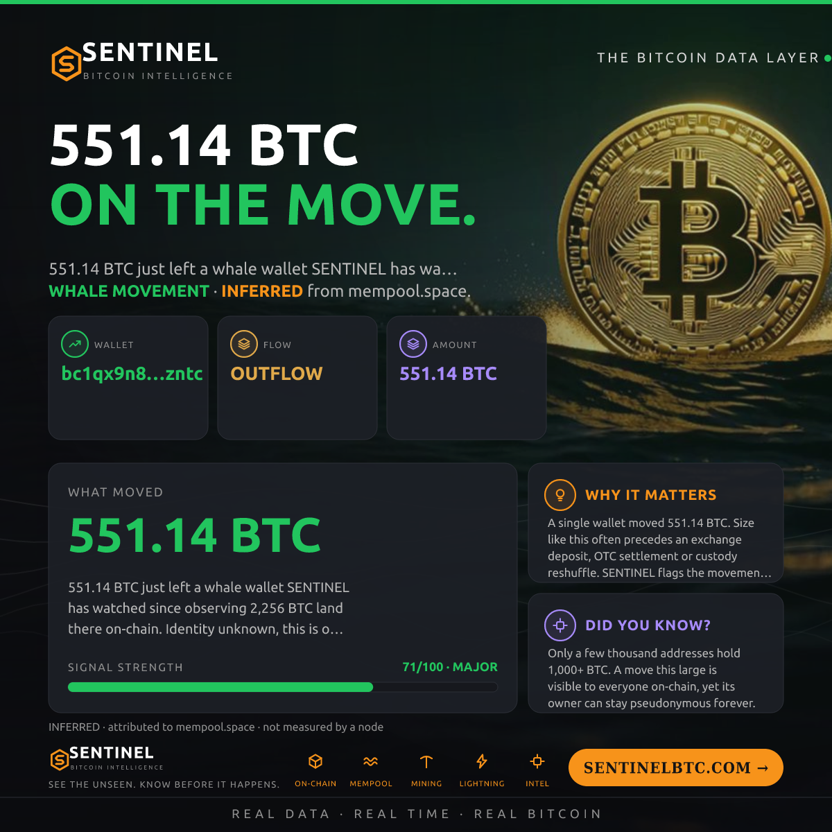 WHALE WALLET: 551.14 BTC OUT
