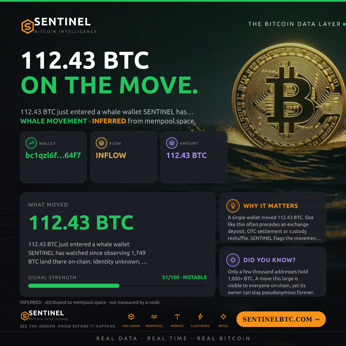 WHALE WALLET: 112.43 BTC IN