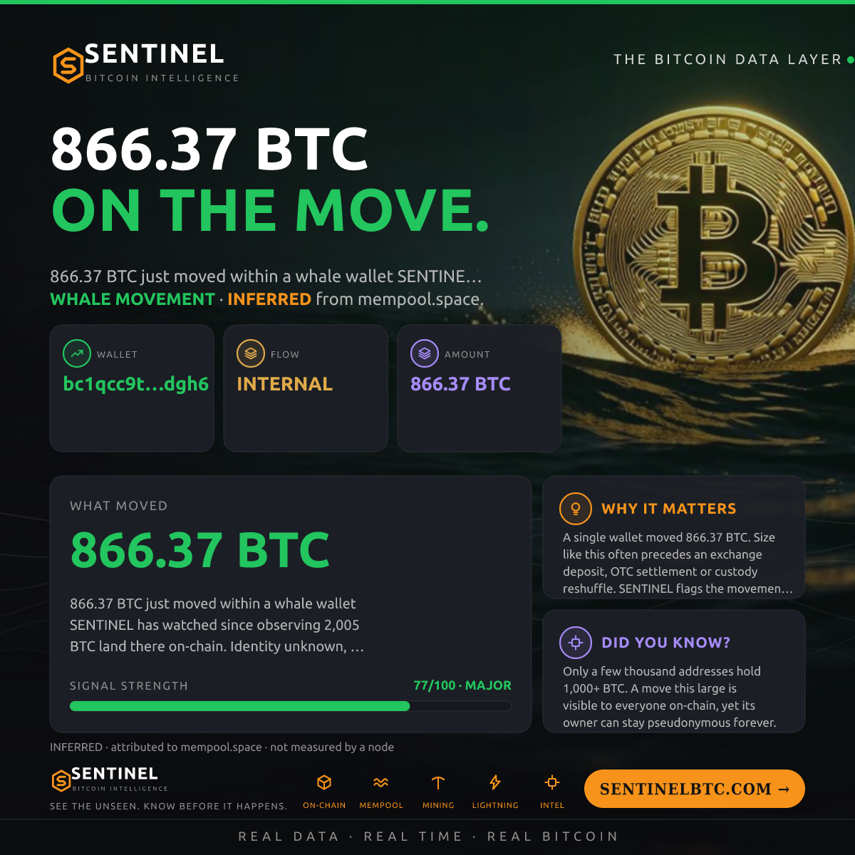 WHALE WALLET: 866.37 BTC SHUFFLED