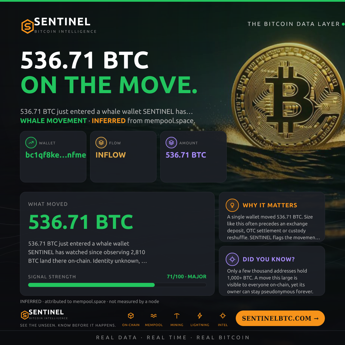 WHALE WALLET: 536.71 BTC IN