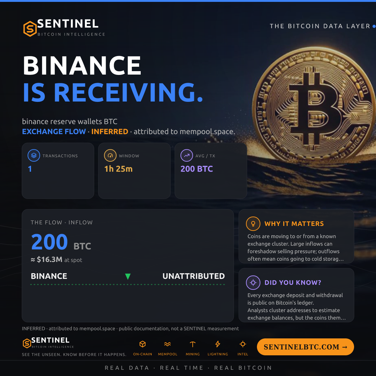 BINANCE: 200 BTC IN