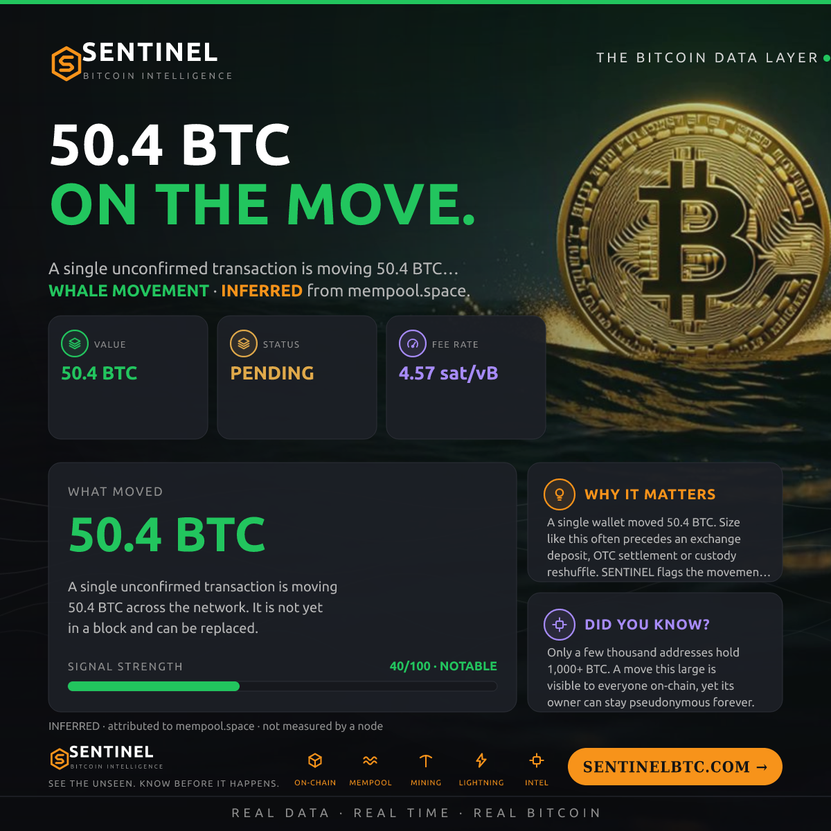 50.4 BTC ENTERED THE MEMPOOL
