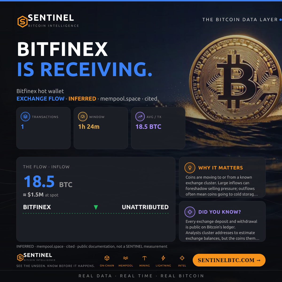 BITFINEX: 18.5 BTC IN