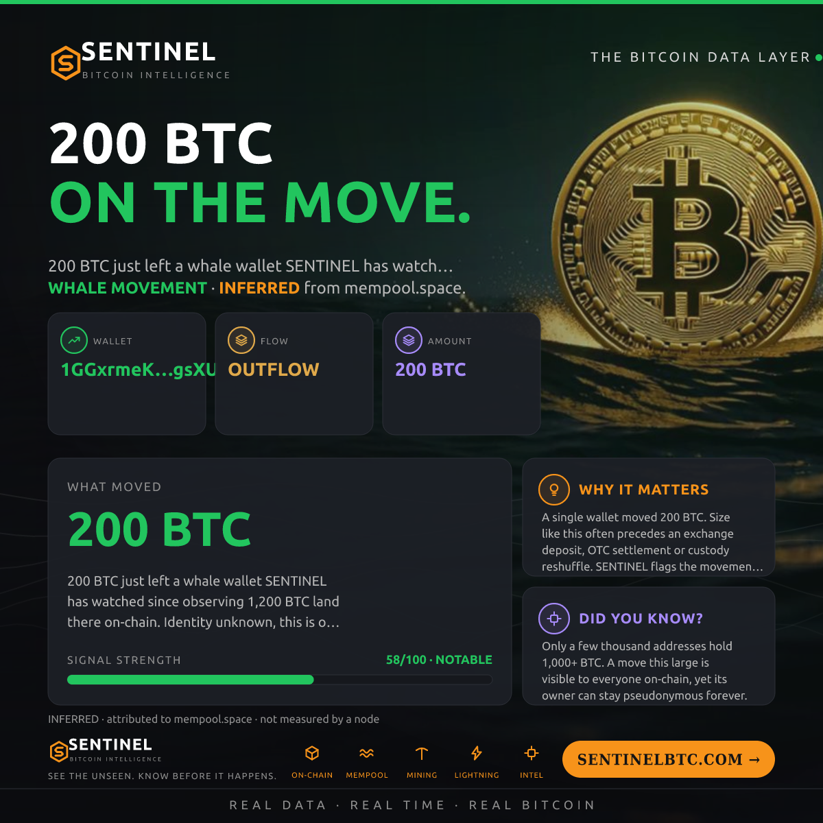 WHALE WALLET: 200 BTC OUT
