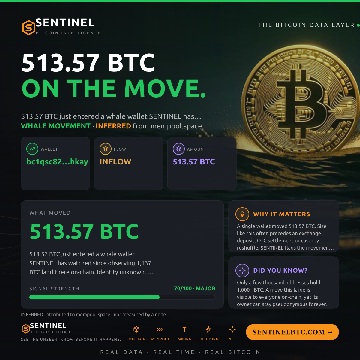 WHALE WALLET: 513.57 BTC IN