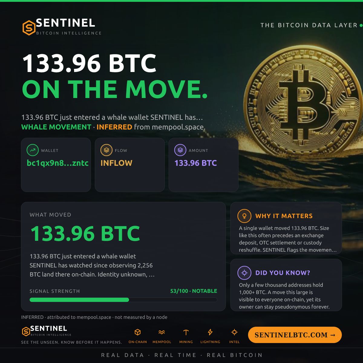 WHALE WALLET: 133.96 BTC IN