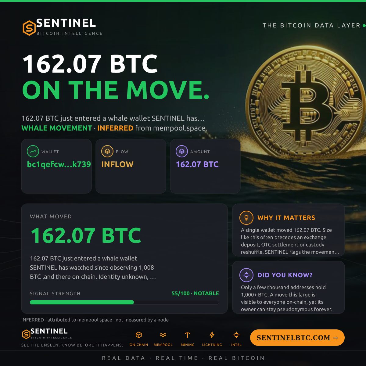 WHALE WALLET: 162.07 BTC IN